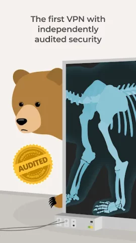 TunnelBear VPN - скриншот 3