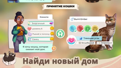 Кошачьи спасатели: приют - скриншот 4
