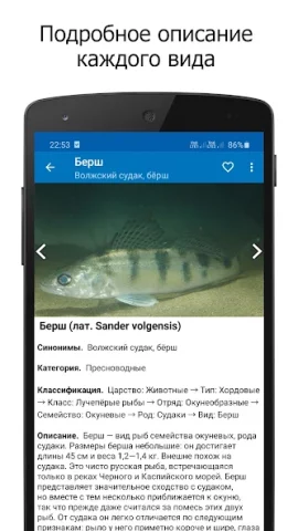 Справочник рыбака - скриншот 2