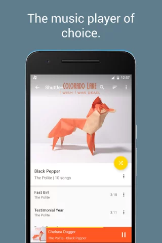 Shuttle+ Music Player - скриншот 4
