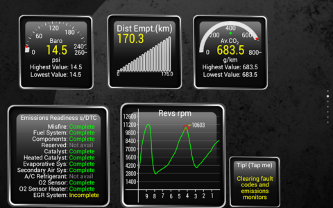 Torque Pro - скриншот 2
