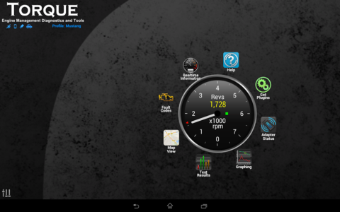 Torque Pro - скриншот 4
