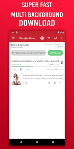 Pinster Advanced Downloader - скриншот 5