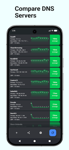 DNS Speed Test - скриншот 2