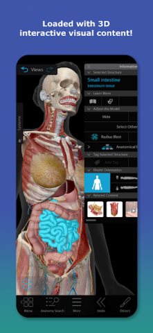 Human Anatomy Atlas 2026 - скриншот 1