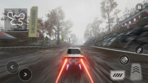 Rally Race Pro 3.0 Car Racing - скриншот 6