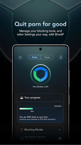 BlockP:порно блокировщик - скриншот 1