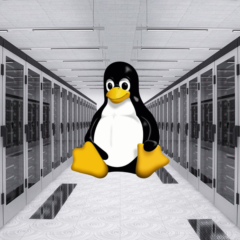 Основы администрирования Linux сервера: что нужно знать новичку