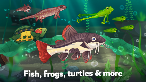 Pondlife — Fish, Frogs & More! - скриншот 2