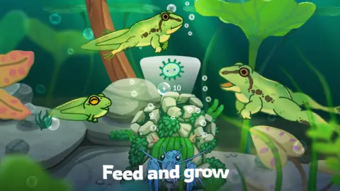 Pondlife — Fish, Frogs & More! - скриншот 5