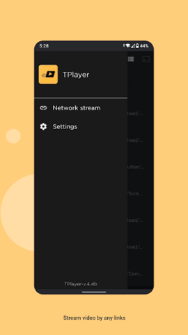 TPlayer - скриншот 2