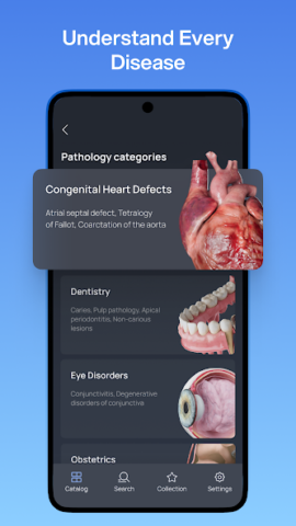 VOKA 3D Анатомия человека - скриншот 2