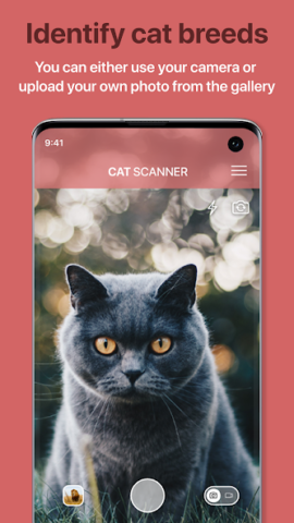 Cat Scanner: Породы кошек - скриншот 1