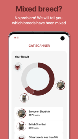 Cat Scanner: Породы кошек - скриншот 2