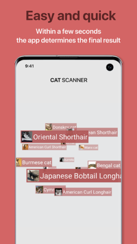 Cat Scanner: Породы кошек - скриншот 3