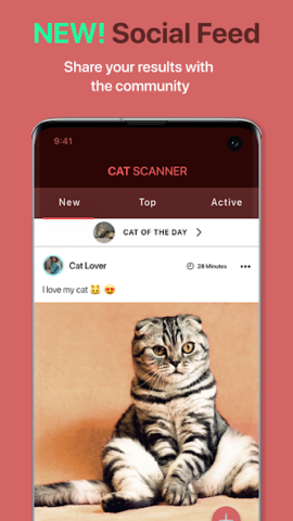 Cat Scanner: Породы кошек - скриншот 4