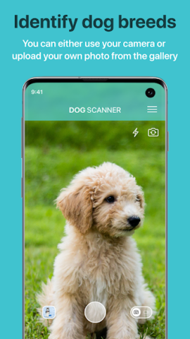 Dog Scanner: Породы собак - скриншот 1