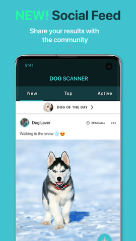 Dog Scanner: Породы собак - скриншот 4
