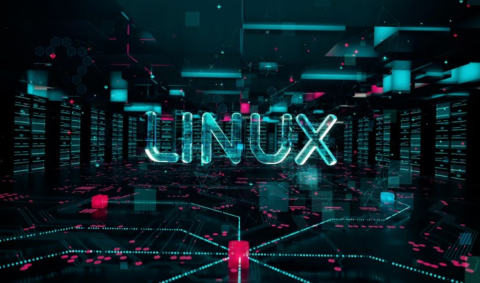 Linux для разработчика в 2026: почему всё больше компаний смотрят в сторону российских дистрибутивов