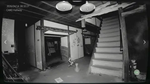 Japan Stigmatized Property3 - скриншот 5