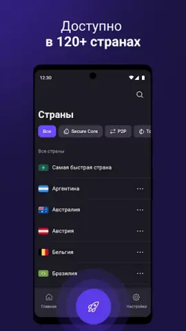 Proton Next - скриншот 1