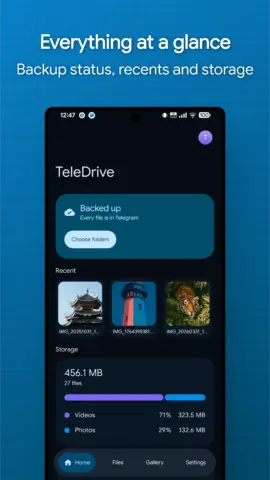 TeleDrive - скриншот 1