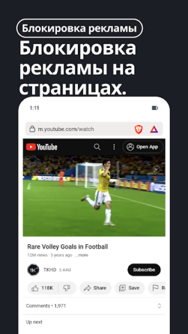 Brave - скриншот 2