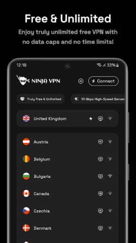 Ninja VPN - скриншот 1